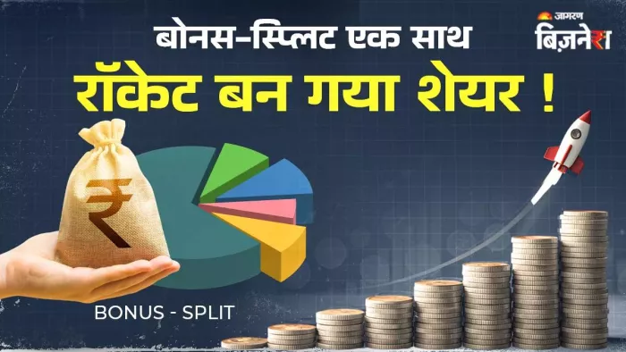1 करोड़ को बनाया ₹2 करोड़; अब 1 के बदले 20 शेयर बांट रही कंपनी