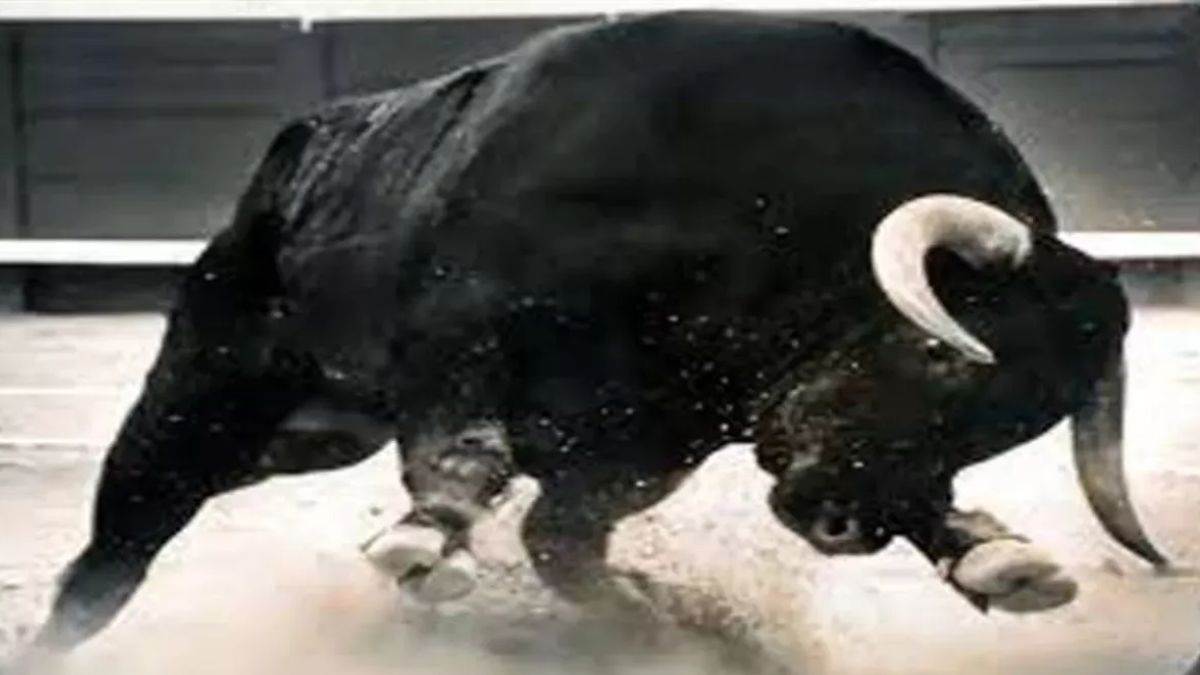 https://www.jagranimages.com/images/newimg/16082025/16_08_2025-bull_attack_demo_24014503.jpg