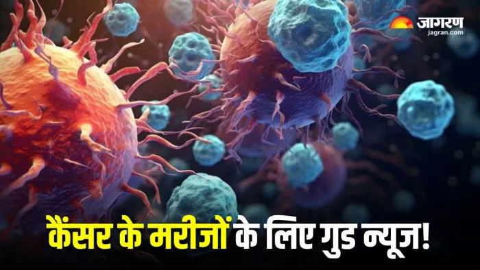 इम्यूनोथेरेपी की दवाएं कैंसर को रोकने में हैं प्रभावी (Image Source: Freepik)