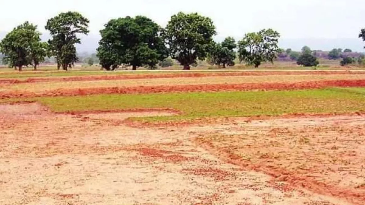 गोरखपुर वानिकी विश्वविद्यालय: नक्शा और एक्ट बनकर तैयार, कैबिनेट में पास होने का इंतजार