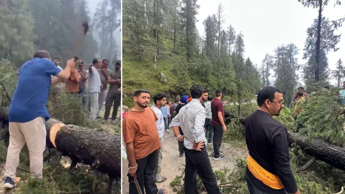 चंबा में जोत मार्ग पर गिरे पेड़ को काटते विधायक डा. जनक राज व मौके पर जुटे लोग।