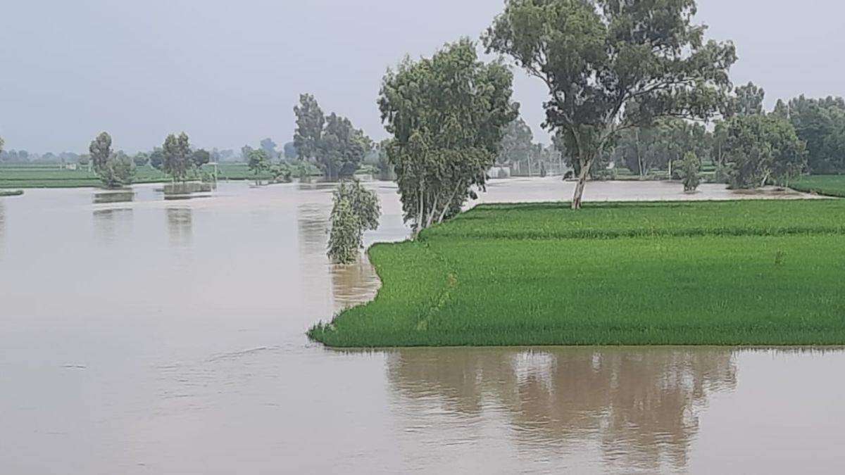 https://www.jagranimages.com/images/newimg/16082025/16_08_2025-satluj_24015176.jpg
