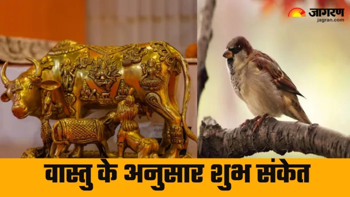 Vastu Tips इस चीजों का दिखना है शुभ।