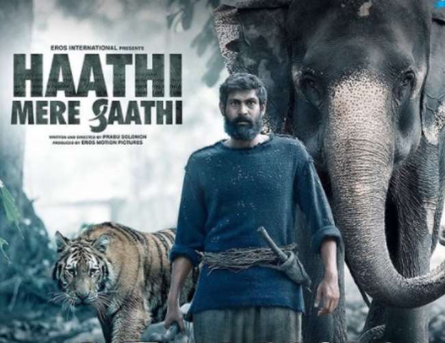 News Article Hero Image