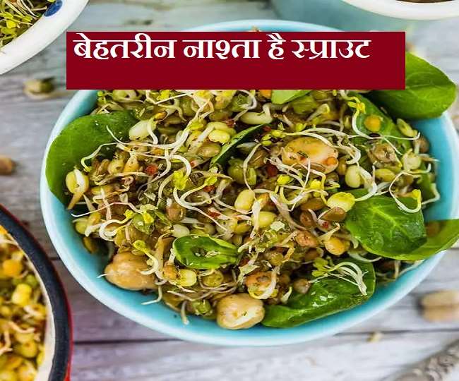 Sprouts Diet For Weight Loss वज़न कम करना चाहते हैं तो स्प्राउट को