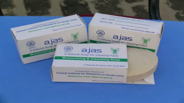 World Dairy Summit 2022: बकरी के दूध से तैयार साबुन दूर करता है चर्म रोग, निखारता है सुंदरता