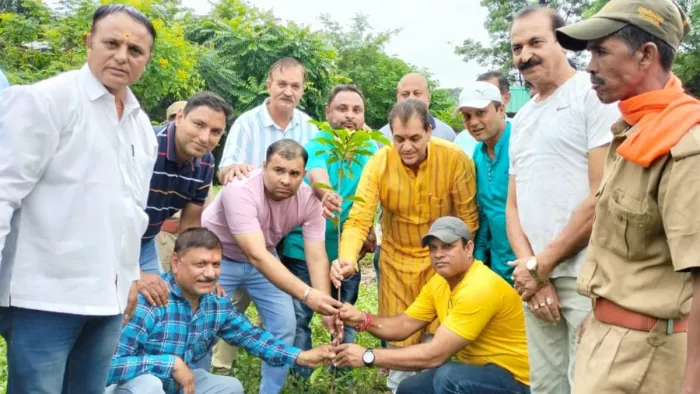 Uttarakhand CM Pushkar Singh Dhami Birthday: मुख्यमंत्री के जन्मदिन पर भाजपा कार्यकर्ताओं ने पौधारोपण की दी बधाई