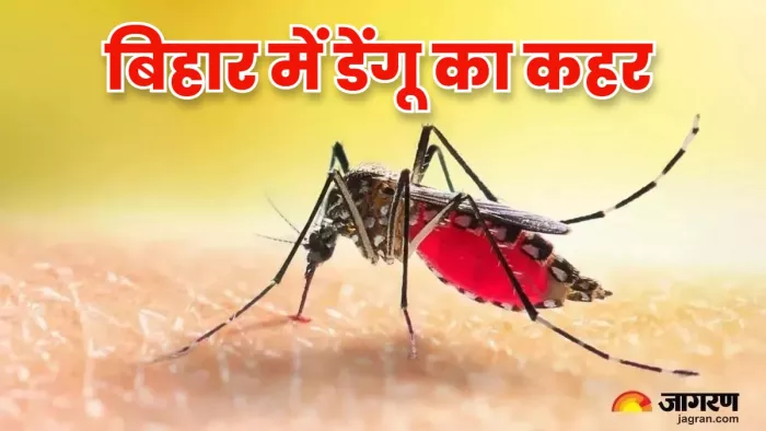 Bihar Dengue Alert : राजधानी पटना में मिले डेंगू के चारों स्ट्रेन, राज्य में बढ़ती जा रही मरीजों की संख्या