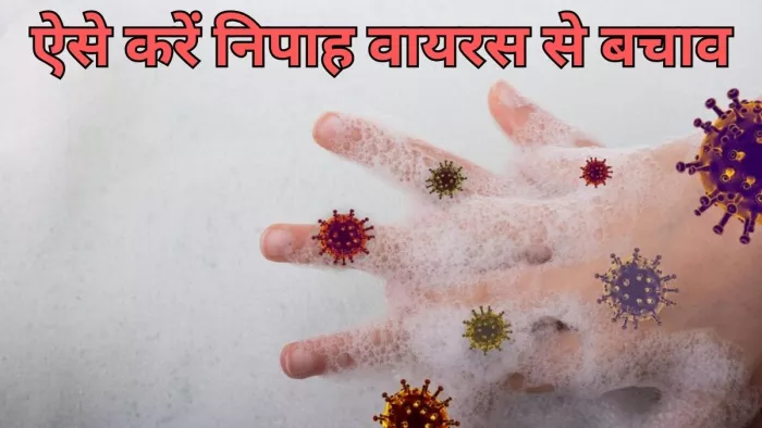 निपाह वायरस से बचाव के लिए अपनाएं ये तरीके