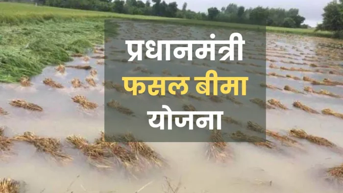 बाढ़ से फसल प्रभावित होने पर बीमा के लिए ऑफलाइन भी दे सकते हैं सूचना