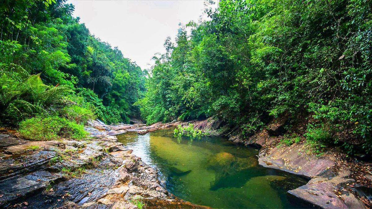 https://www.jagranimages.com/images/newimg/16092024/16_09_2024-monsoon_travel_23797968.jpg