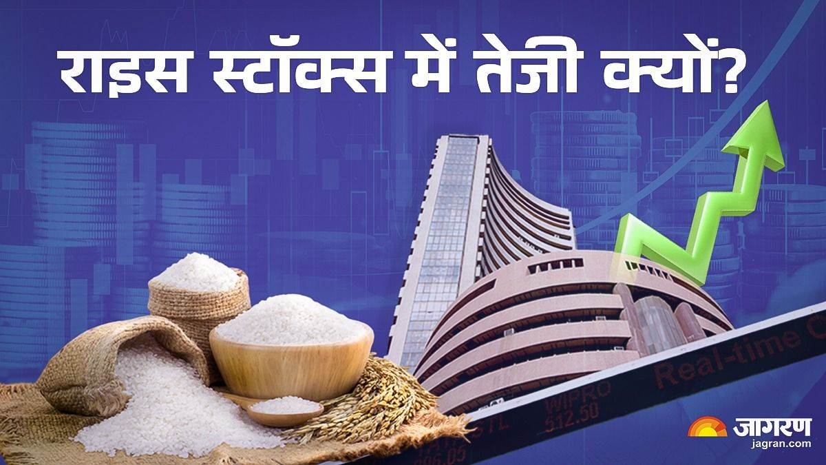 why are rice companies stocks rising