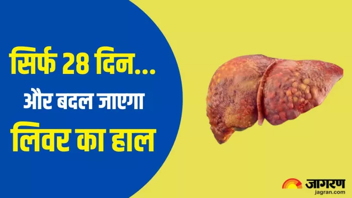 28 दिनों में फैटी लिवर को ठीक करने के 8 आसान उपाय (Picture Credit- Freepik)