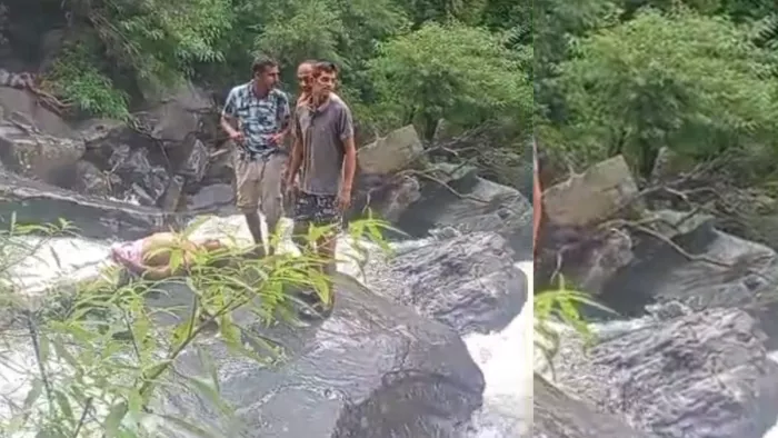 जिला मंडी में नाले बहे व्यक्ति की तलाश में जुटे लोग। जागरण