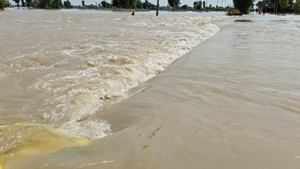 https://www.jagranimages.com/images/newimg/16092025/16_09_2025-punjab_flood_34_24049608.jpg