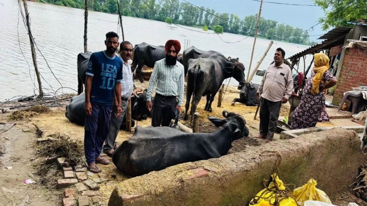 https://www.jagranimages.com/images/newimg/16092025/16_09_2025-punjab_flood_3_24049444.jpg