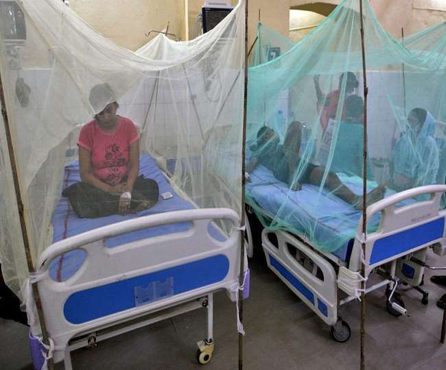 देश के कई राज्यों में डेंगू बना खतरा, अस्पताल फुल, गंवानी पड़ रही जान