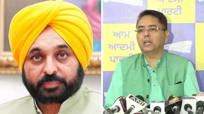 सीएम भगवंत मान की फाइल फोटो व मीडिया कर्मियों से बातचीत करते अमन अरोड़ा।
