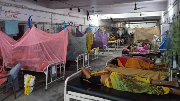 Bihar Dengue Update: बिहार में डेंगू के मामलों में लगातार इजाफा। प्रतीकात्मक तस्वीर