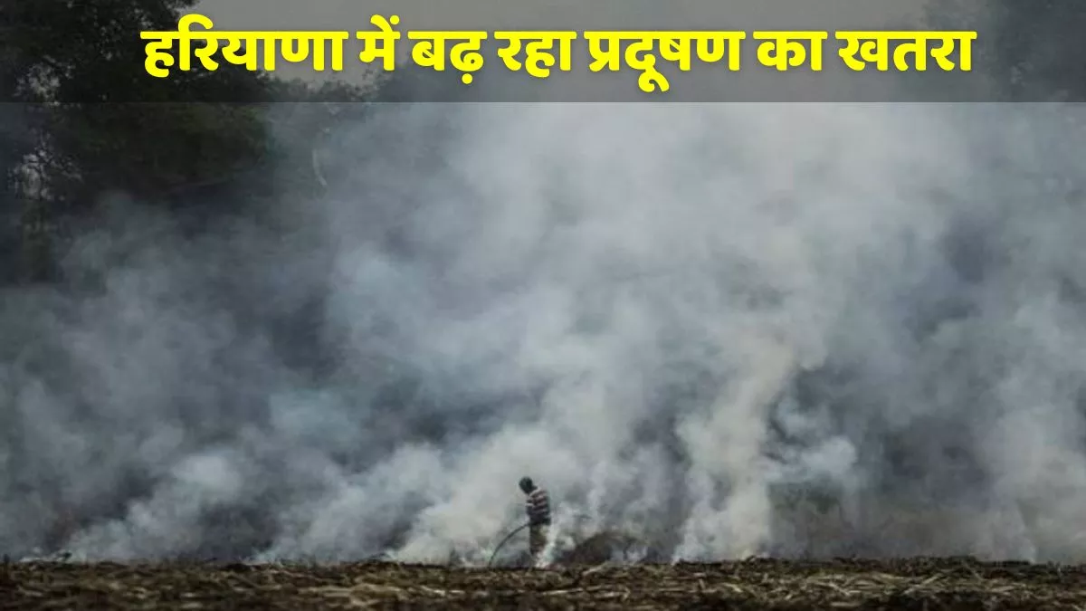 Pollution Alert: हरियाणा और दिल्‍ली में बढ़ रहा 'सांस का खतरा', पराली जलने से खराब हो रही हवा