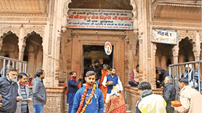 Mathura News: अब बांकेबिहारी मंदिर क्षेत्र में चूहों का आतंक