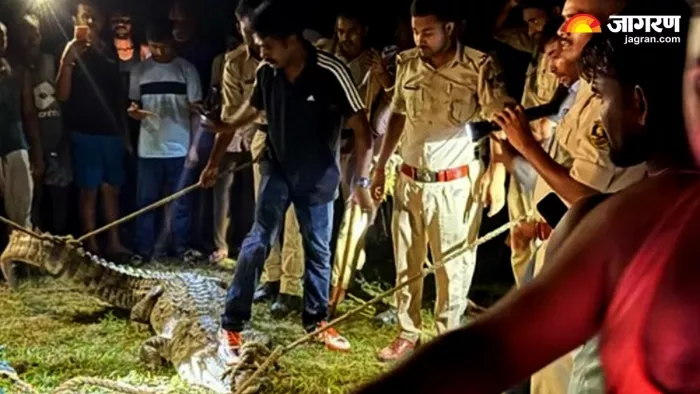 अरेराज डीएसपी के नेतृत्व में रेस्कूय करती वन विभाग की टीम व पुलिस। जागरण