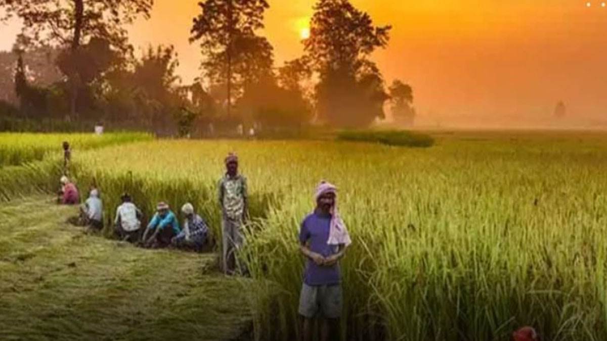 https://www.jagranimages.com/images/newimg/16102024/16_10_2024-farmers_23816746.jpg