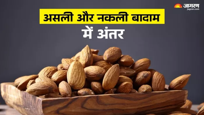 Real vs Fake Almonds: असली और नकली बादाम को लेकर हैं कन्फ्यूज, तो इन 5 ट्रिक्स से पहचानें इसकी शुद्धता