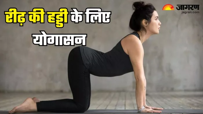 World Spine Day 2024: इन योगासनों से रखें रीढ़ की हड्डी का ख्याल
