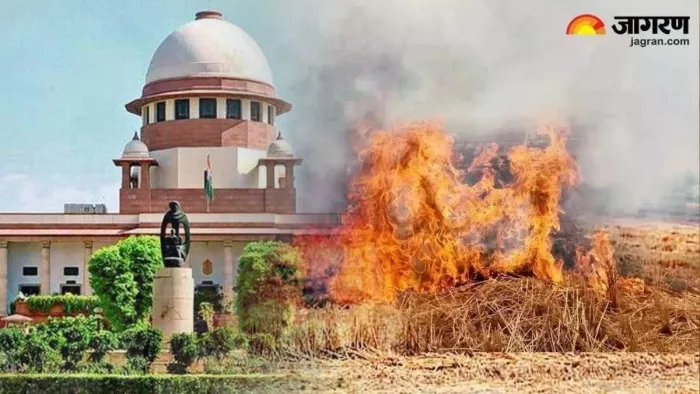 Punjab News: पंजाब और हरियाणा सुप्रीम कोर्ट फाइल फोटो (जागरण न्यूज)