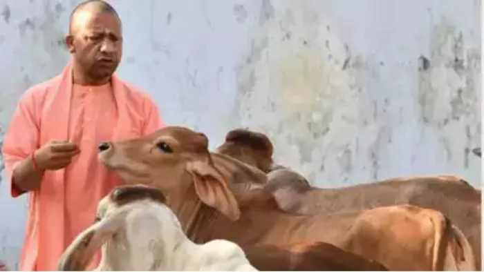 सड़क सुरक्षा को बढ़ाने में भी अभियान ने निभाई सकारात्मक भूमिका।
