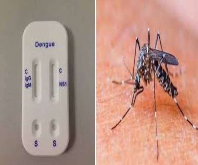 पानीपत में रोजाना होती है 90 से अधिक मरीजों की डेंगू जांच।