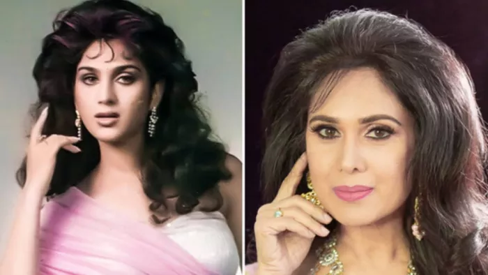 Photo Credit : Meenakshi Seshadri Instagram Photos Screenshot