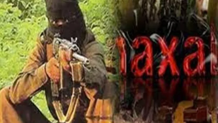 कांकेर में नक्सलियों ने सरपंच के भाई को अगवा कर गला रेता। फाइल फोटो
