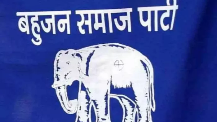 बसपा प्रत्याशी का पैसे बांटते हुए वीडियो वायरल (फाइल फोटो)