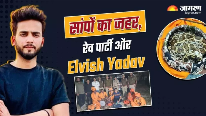 एल्विश यादव-राहुल का आमने सामने बैठाकर पूछताछ कर सकती पुलिस