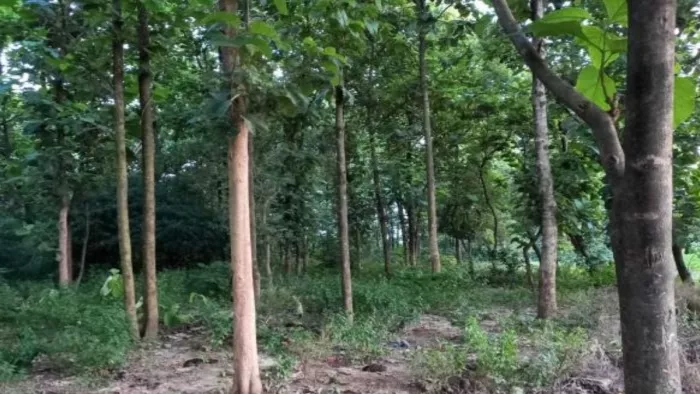 अब्दुल रशीद बने बिलावर सबडिवीजन के अध्यक्ष, वनकर्मियों की समस्याओं का समाधान करने की कही बात।