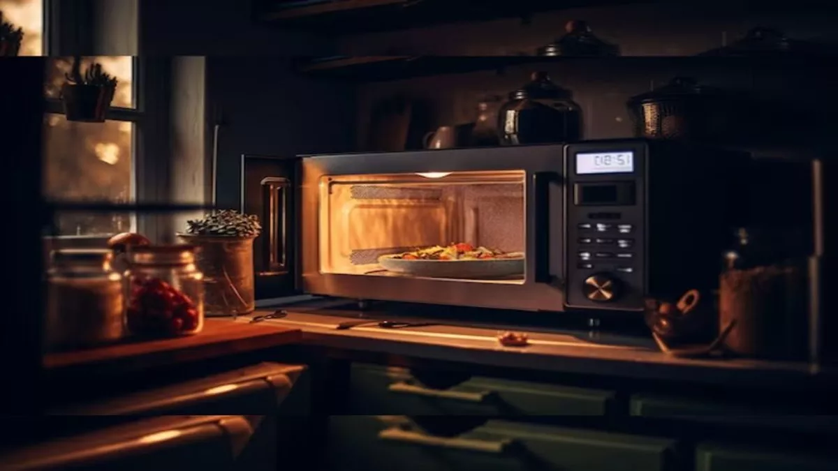 जोमैटो और स्विगी नहीं LG Microwave Oven Price किफायती दाम में देंगे स्वादिष्ट रेसिपी, जानें फीचर्स की जानकारी