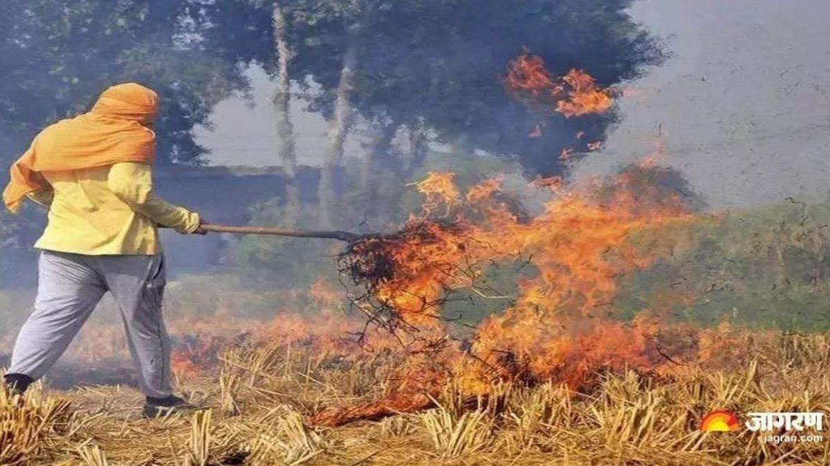 punjab news farmers are burning stubble without fear aqi crossed 280 in jalandhar