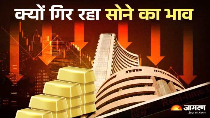 वेडिंग सीजन में बढ़ती मांग के बीच क्यों गिर रहा सोने का भाव?