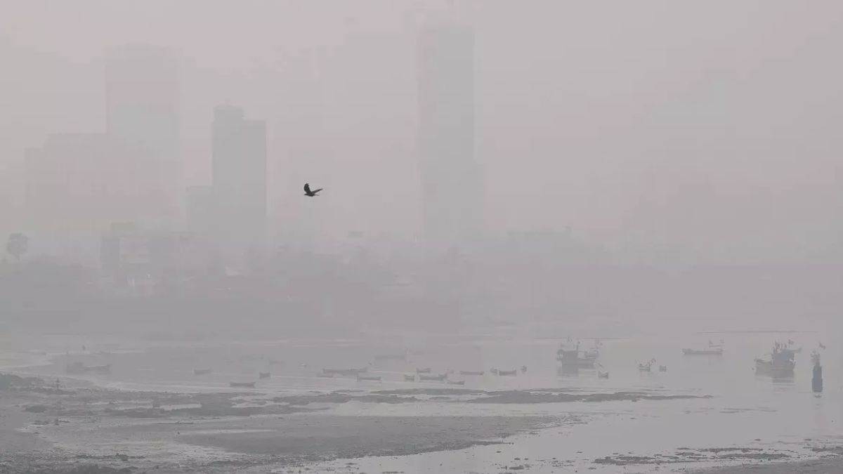 https://www.jagranimages.com/images/newimg/16112024/16_11_2024-pollution_23831852.jpg