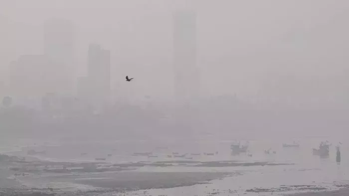 कई जिलों में दृश्यता शून्य, देरी से पहुंच रही फ्लाइट और ट्रेन।