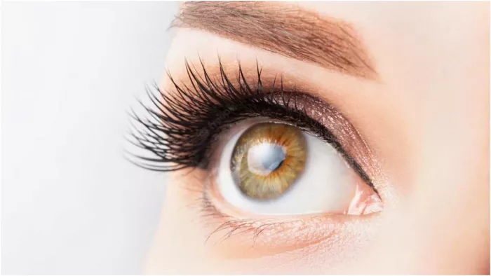 Diabetic Eyes Tips: डायबिटीज़ में ब्लड शुगर बढ़ने से जा सकती है आंखों की रोशनी