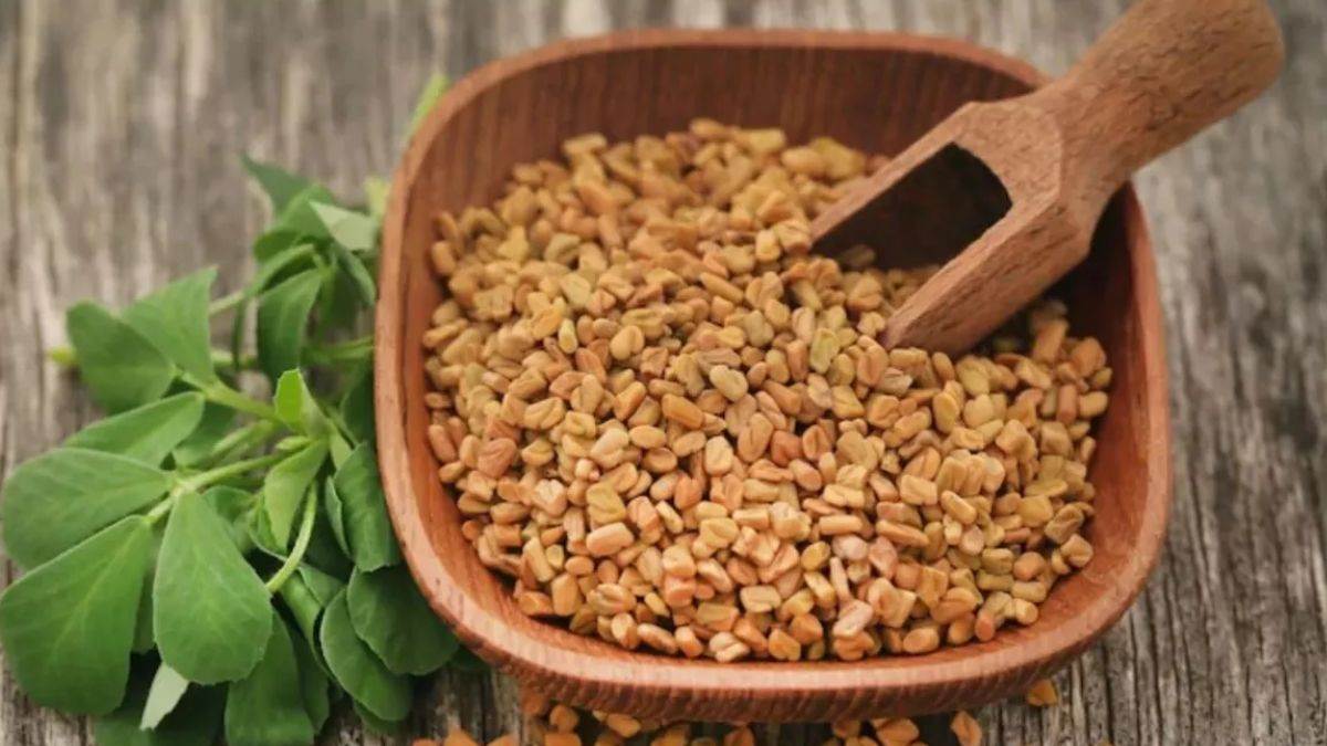 Fenugreek Side Effects क्या आप भी सर्दियों में खाते हैं जरूरत से