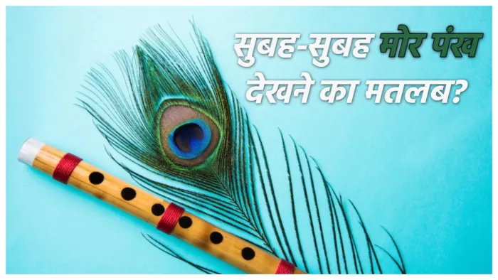 Mor Pankh सुबह-सुबह मोर पंख दिखने का क्या मतलब है।