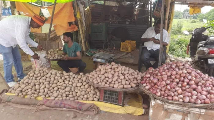 लग्न समाप्त होते ही धड़ाम हुआ आलू, प्याज व लहसून का भाव