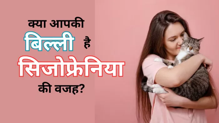 क्या बिल्लियों की वजह से बढ़ सकता है सिजोफ्रेनिया का खतरा?