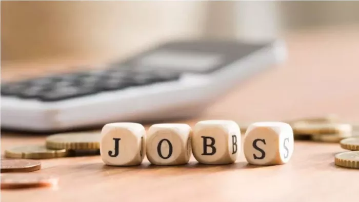DU Recruitment 2024 के लिए यहां से करें अप्लाई।