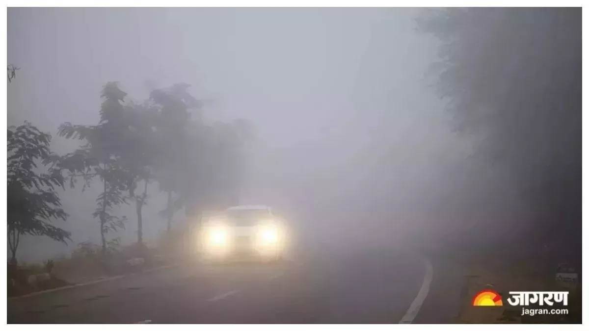 https://www.jagranimages.com/images/newimg/16122024/16_12_2024-mccluskieganj-weather_23849302.jpg
