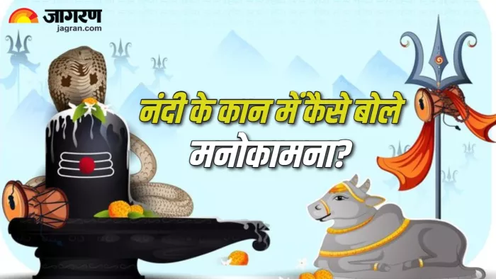 Nandi Puja नंदी के कान में इस तरह बोलें अपनी मनोकामना।
